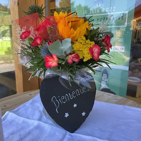 Domek alpejski Cosy Le Bouquetin Jacuzzi Et Sauna Ideal Familles & Couples Vue Imprenable *